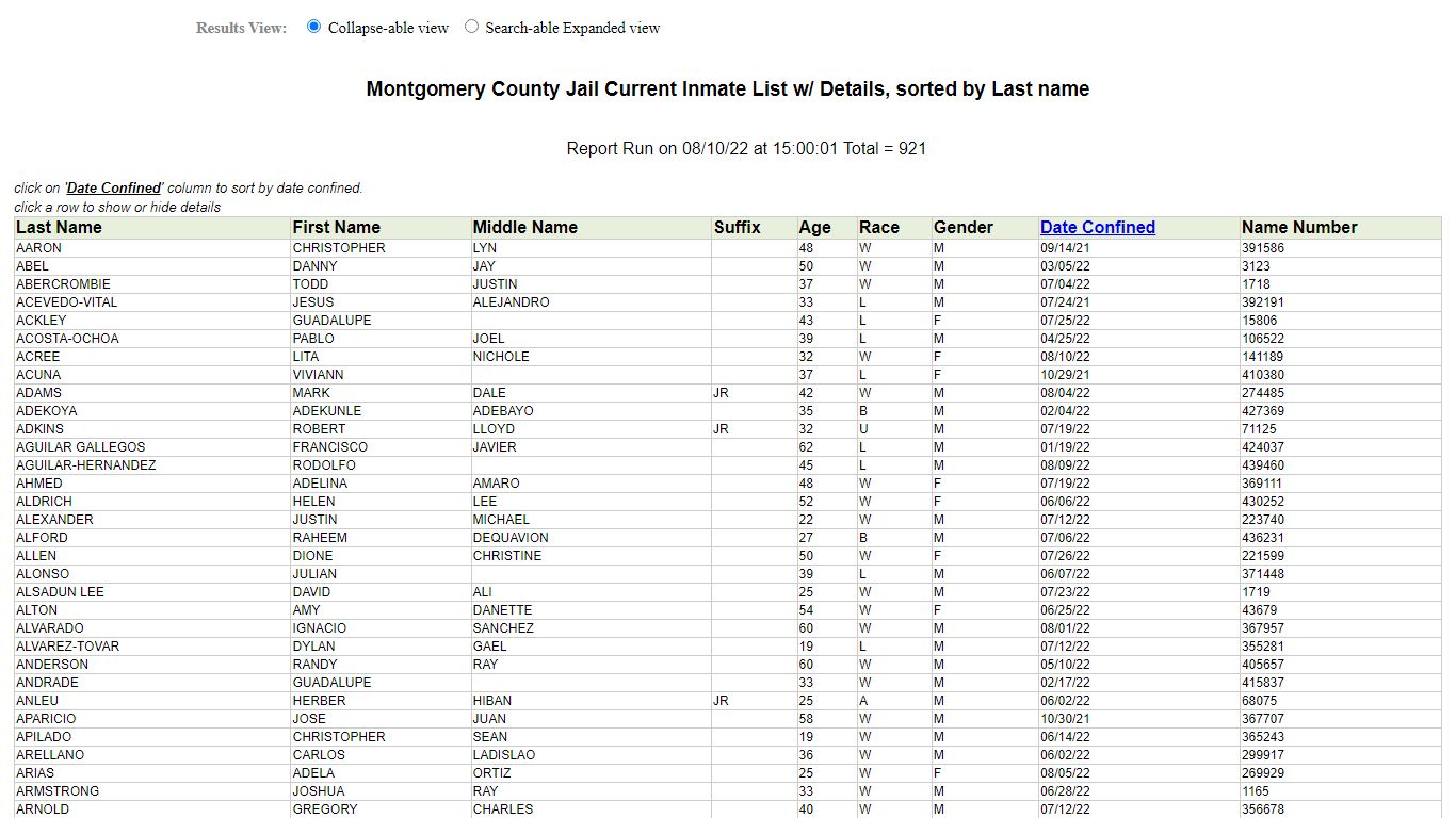 Jail Roster